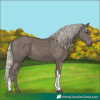 Horse Color:Silver Smoky Black Tobiano