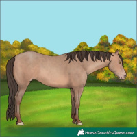 Horse Color:Sable Champagne 