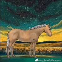 Horse Color:Silver Buckskin 