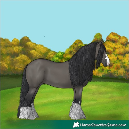 Horse Color:Grullo 
