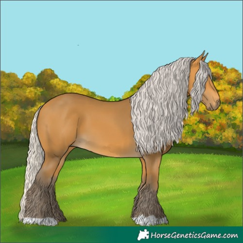 Horse Color:Silver Buckskin 
