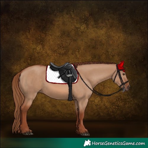 Horse Color:Red Dun 