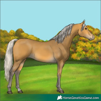Horse Color:Silver Buckskin 