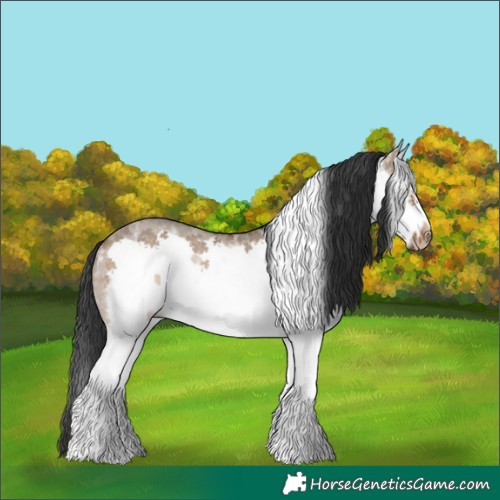 Horse Color:White Spotted Brown Dun Splash Frame Rabicano 