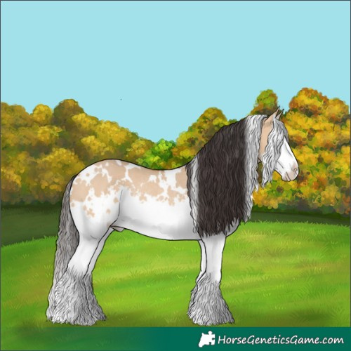 Horse Color:White Spotted Bay Dun Splash Rabicano 