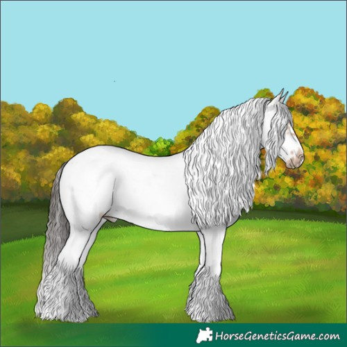 Horse Color:White Spotted Bay Dun Splash Frame Rabicano 