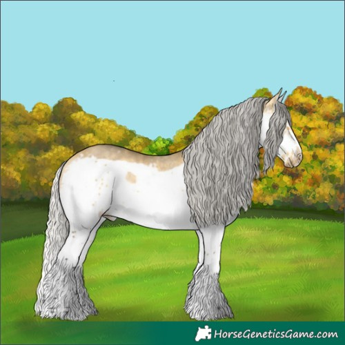 Horse Color:Silver Buckskin Dun Sabino Splash Frame Rabicano 