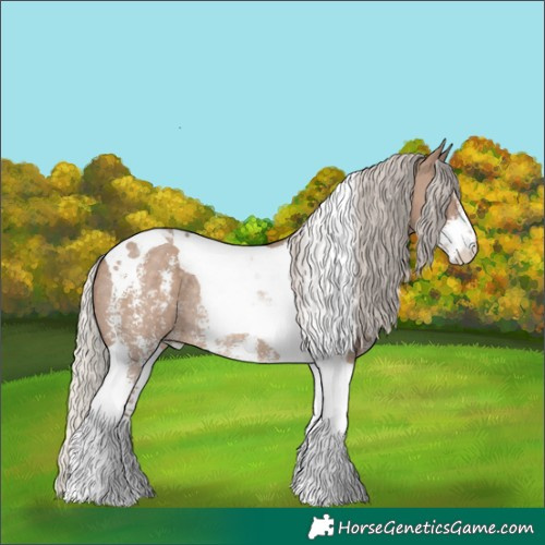 Horse Color:Silver Grullo Sabino Tobiano Rabicano 