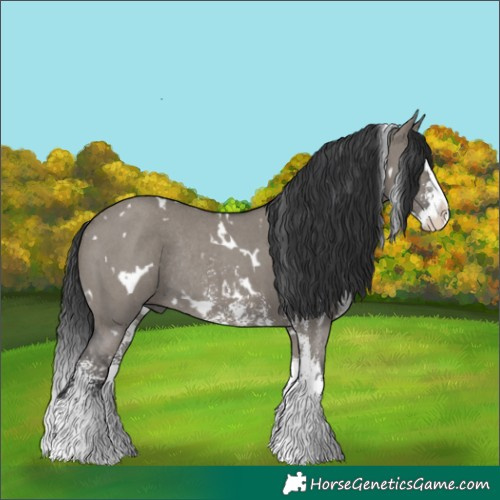 Horse Color:White Spotted Grullo Sabino Splash Rabicano 
