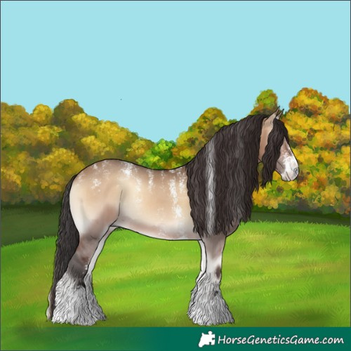 Horse Color:Powder White Brown Onyx Sabino Rabicano 