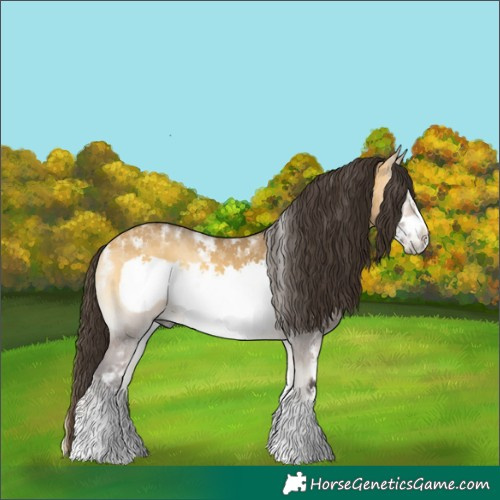 Horse Color:Powder White Buckskin Onyx Sabino Frame Rabicano 