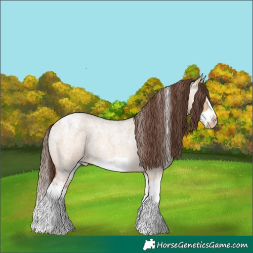 Horse Color:Powder White Bay Roan Dun Splash Frame Blanket Rabicano 