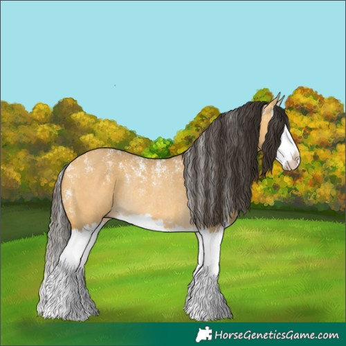 Horse Color:Powder White Buckskin Dun Splash Rabicano 