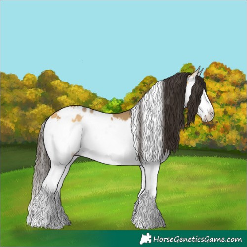 Horse Color:White Spotted Buckskin Onyx Splash Frame 