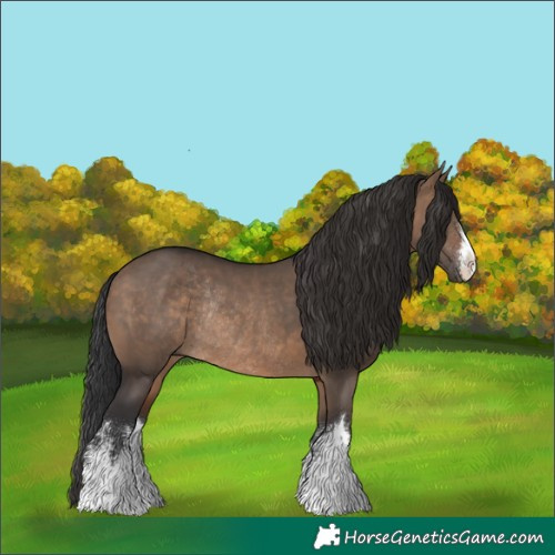Horse Color:White Spotted Brown Dun Rabicano 