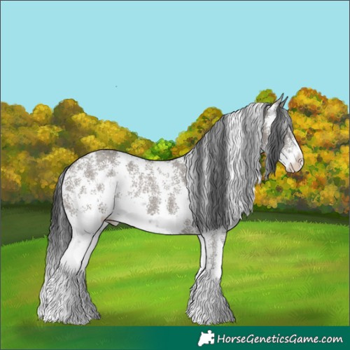 Horse Color:Grullo Sabino Rabicano 