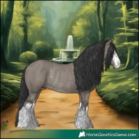 Horse Color:White Spotted Grullo Rabicano 
