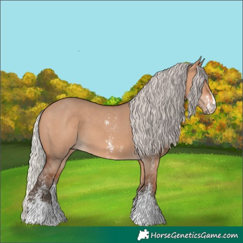 Horse Color:Silver Bay Dun Sabino 