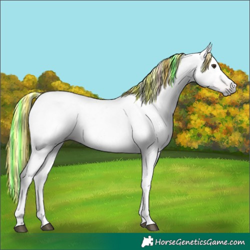 Horse Color:Gray Painted Chestnut 