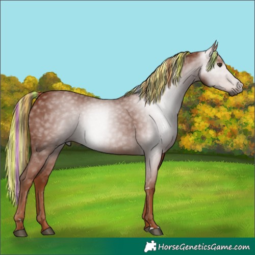 Horse Color:Gray Painted Chestnut 
