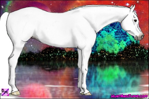 Horse Color:Gray Smoky Grullo Tobiano Appaloosa 