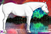 Horse Color:Gray Smoky Grullo Tobiano Appaloosa 