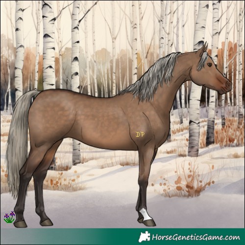 Horse Color:Liver Red Dun 