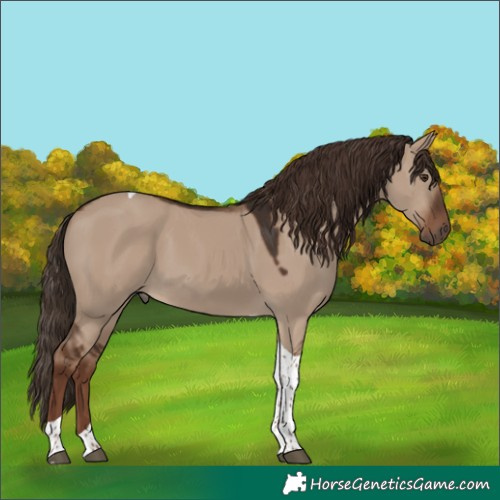 Horse Color:Liver Red Dun Tobiano 