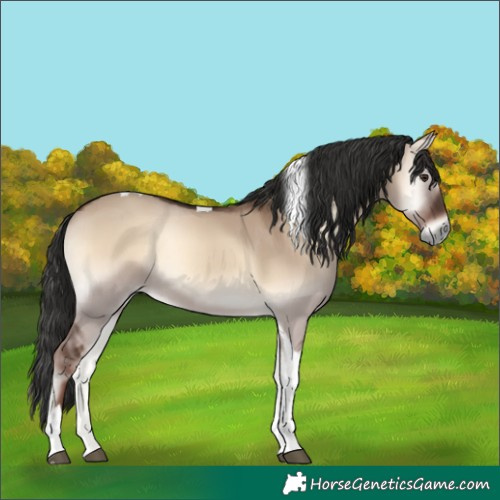 Horse Color:Liver Red Dun Onyx Tobiano 