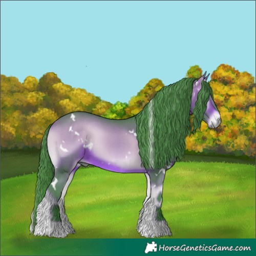 Horse Color:Watercolor White Spotted Bay Onyx 