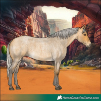 Horse Color:Silver Buckskin Roan 