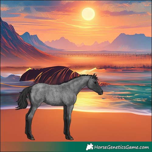 Horse Color:Unknown 