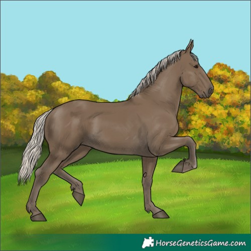 Horse Color:Silver Smoky Black 