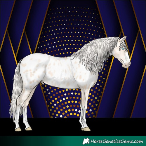 Horse Color:Gold Cream Champagne Pearl Appaloosa 