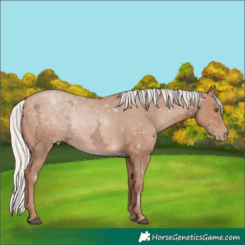 Horse Color:Silver Brown Ice Pearl 