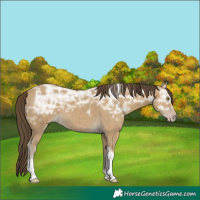Horse Color:Classic Cream Champagne Ice Tobiano Rabicano 