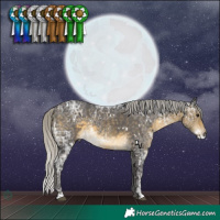 Horse Color:White Spotted Silver Buckskin Ice Rabicano 