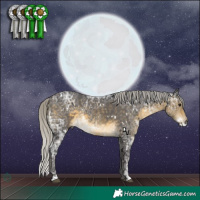 Horse Color:White Spotted Silver Buckskin Ice Rabicano 
