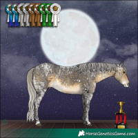 Horse Color:White Spotted Silver Buckskin Ice Rabicano