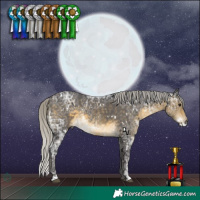 Horse Color:White Spotted Silver Buckskin Ice Rabicano 