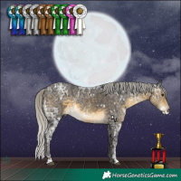 Horse Color:White Spotted Silver Buckskin Ice Rabicano
