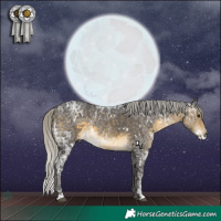 Horse Color:White Spotted Silver Buckskin Ice Rabicano