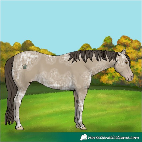 Horse Color:Classic Cream Champagne Ice 