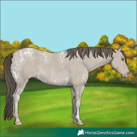 Horse Color:Classic Cream Champagne Ice 