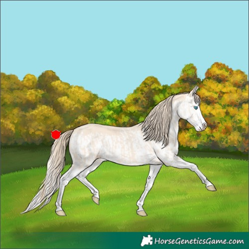 Horse Color:Perlino Splash  and Perlino Splash 