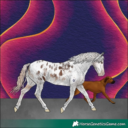 Horse Color:Powder White Liver Chestnut Blanket 