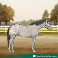 Horse Color:Classic Cream Champagne Ice 