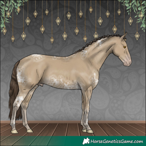 Horse Color:Classic Cream Champagne Ice 