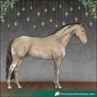 Horse Color:Classic Cream Champagne Ice 