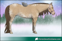 Horse Color:Classic Cream Champagne Ice 